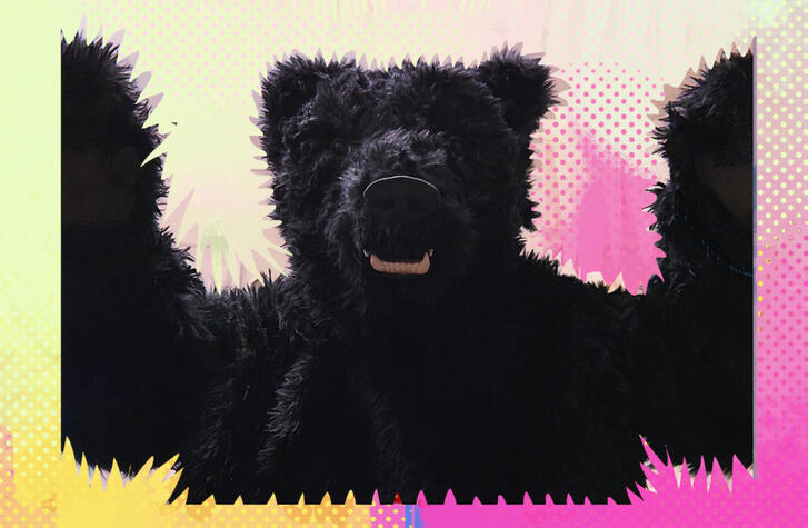 Bear Costume